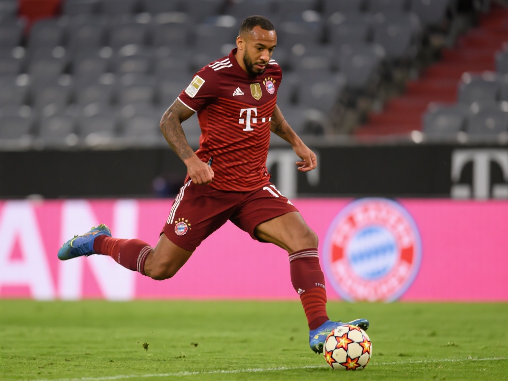 总的来说 总的来说