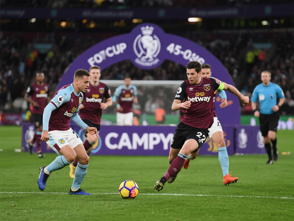 和团队合作 和团队合作