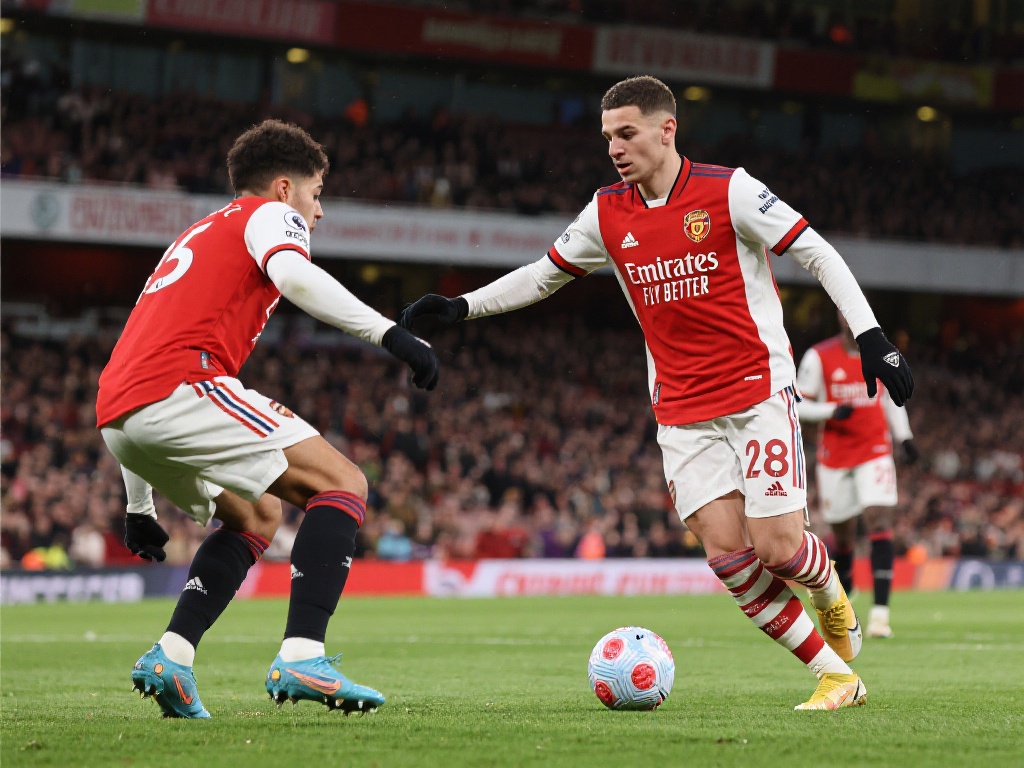 出和教练的 出和教练的